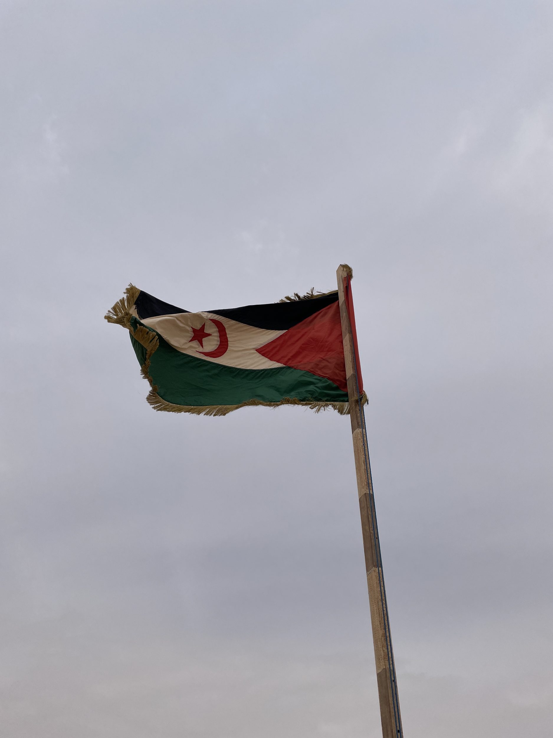 Vest-Sahara flagg